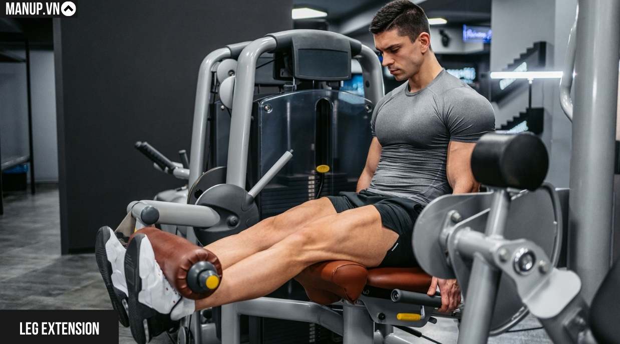 Leg Extension
