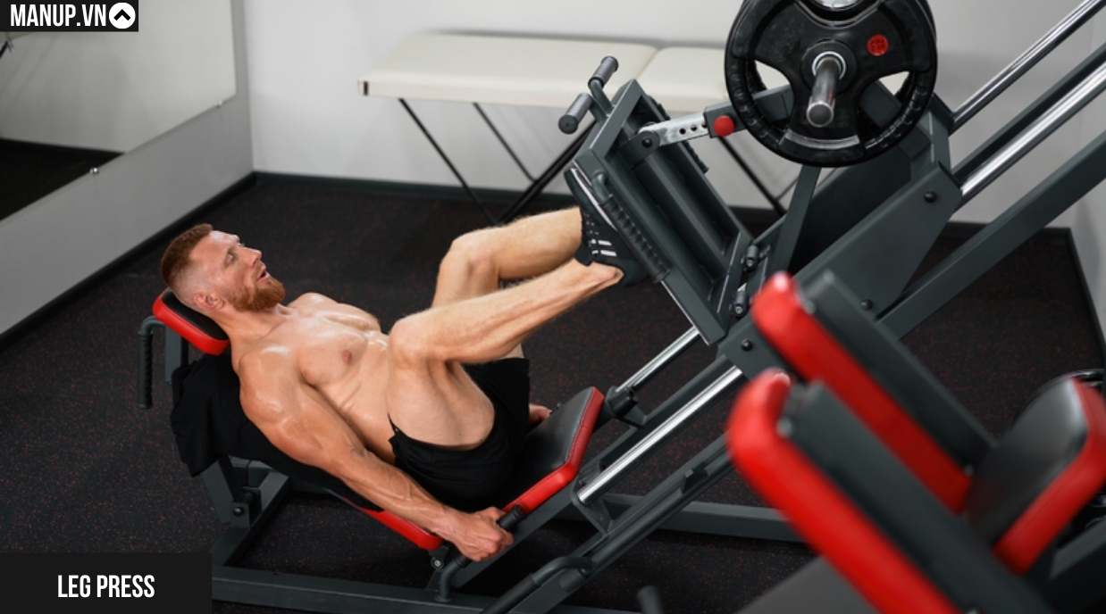 Leg Press