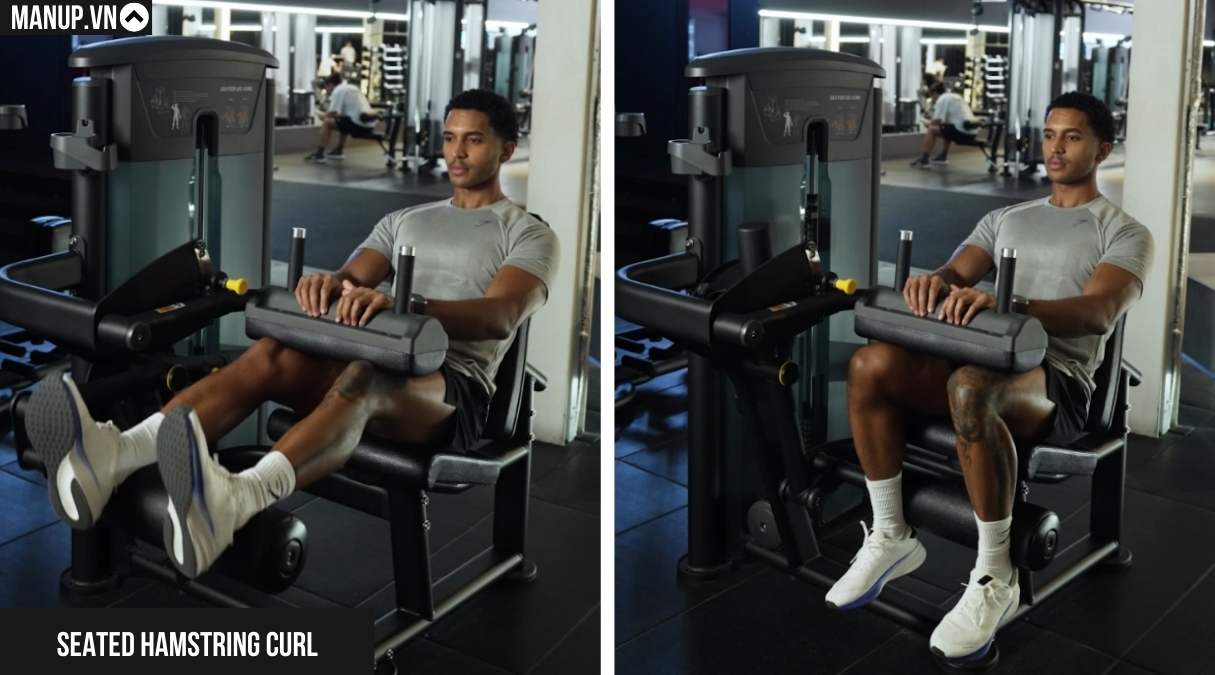 Seated Hamstring Curl