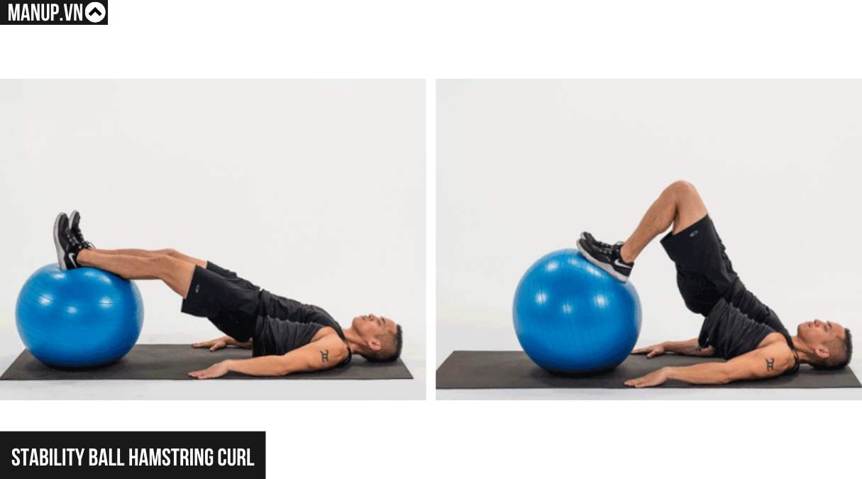 Stability Ball Hamstring Curl