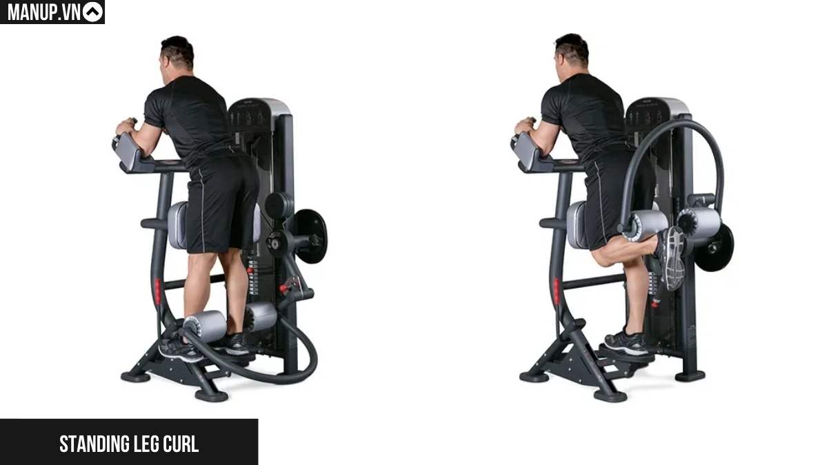 Standing Leg Curl