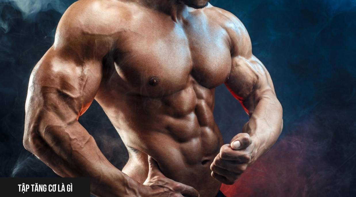Tập tăng cơ là gì