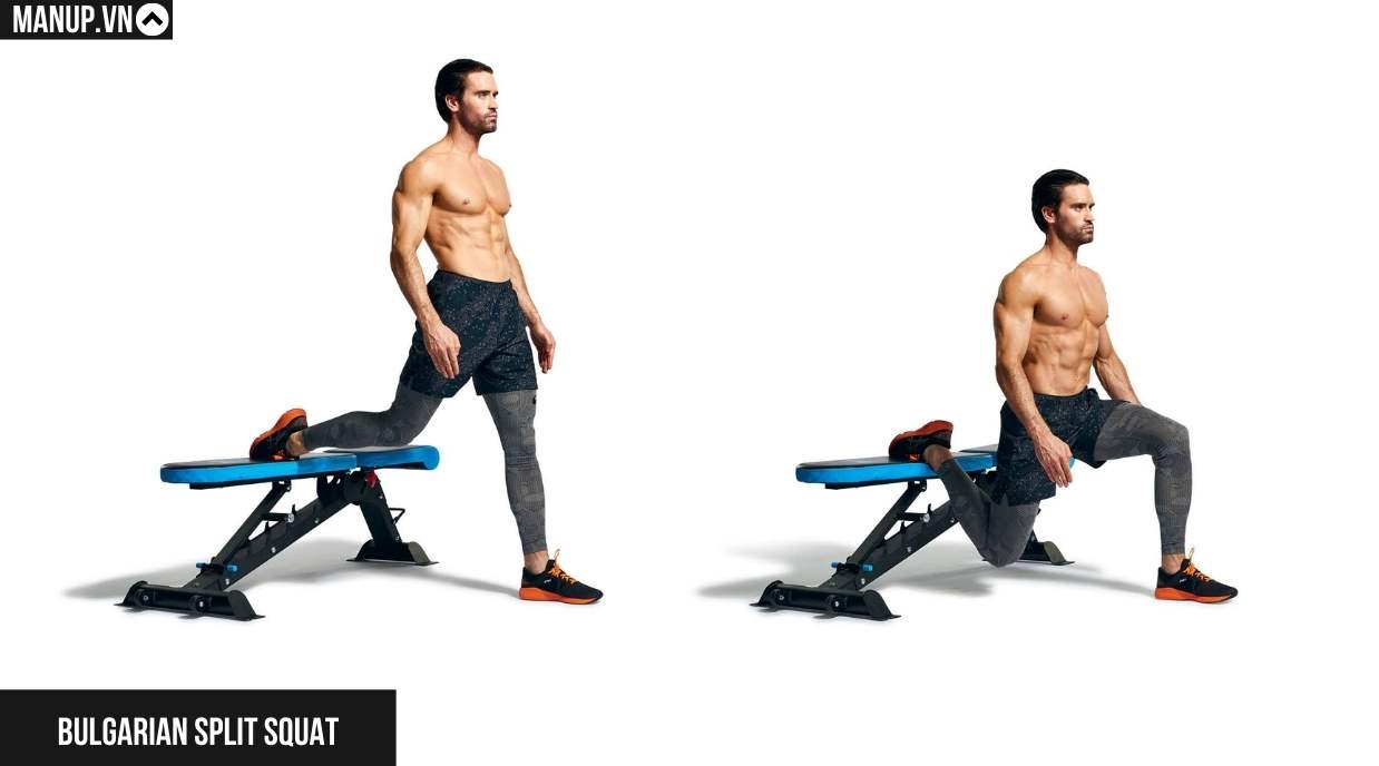 Bulgarian Split Squat