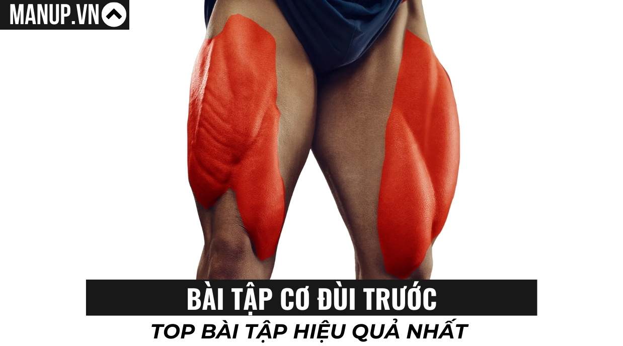 Bài Tập Cơ Đùi Trước