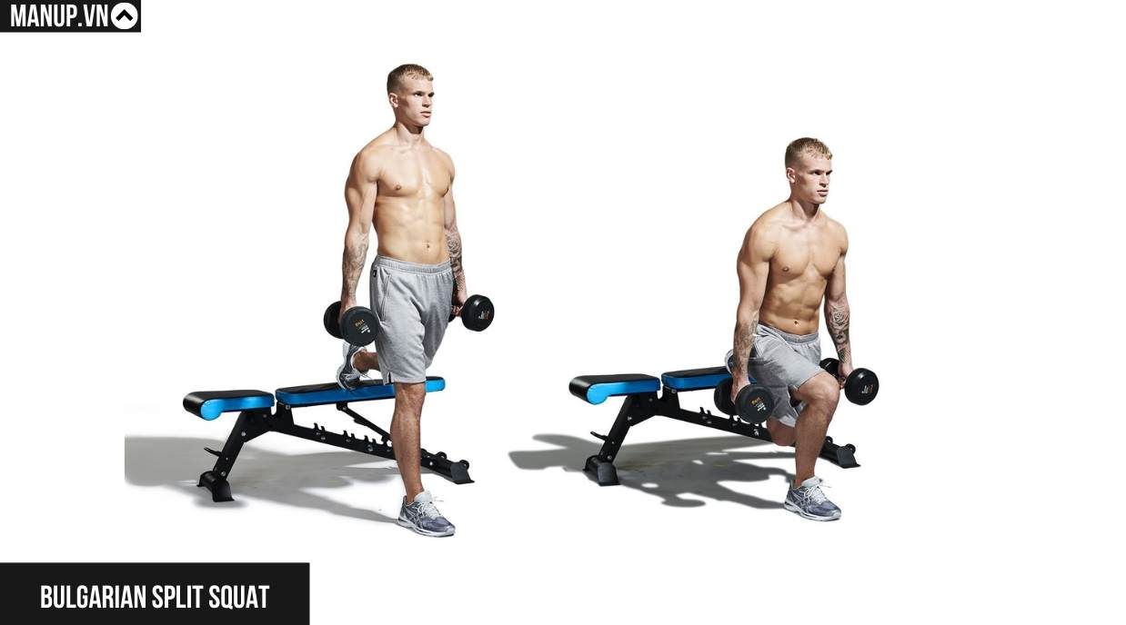 Bulgarian Split Squat Với Tạ Đơn