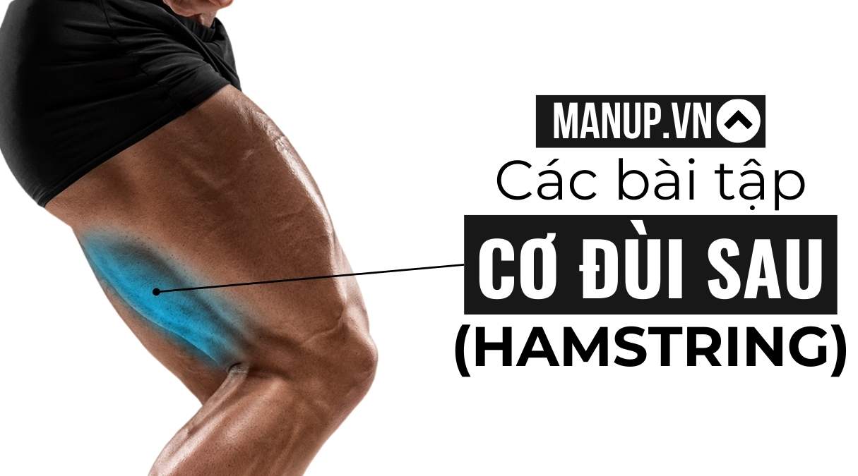 Bài Tập Cơ Đùi Sau