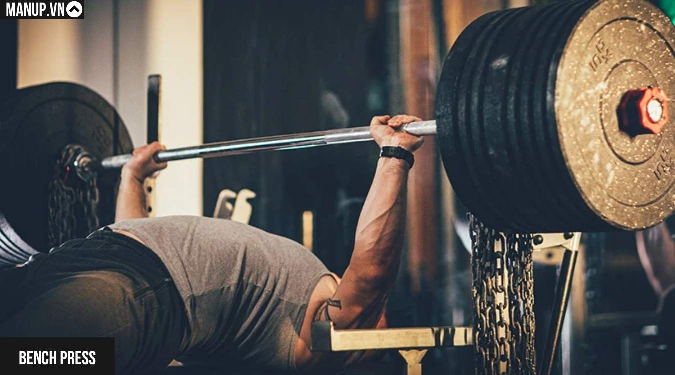 Bench Press