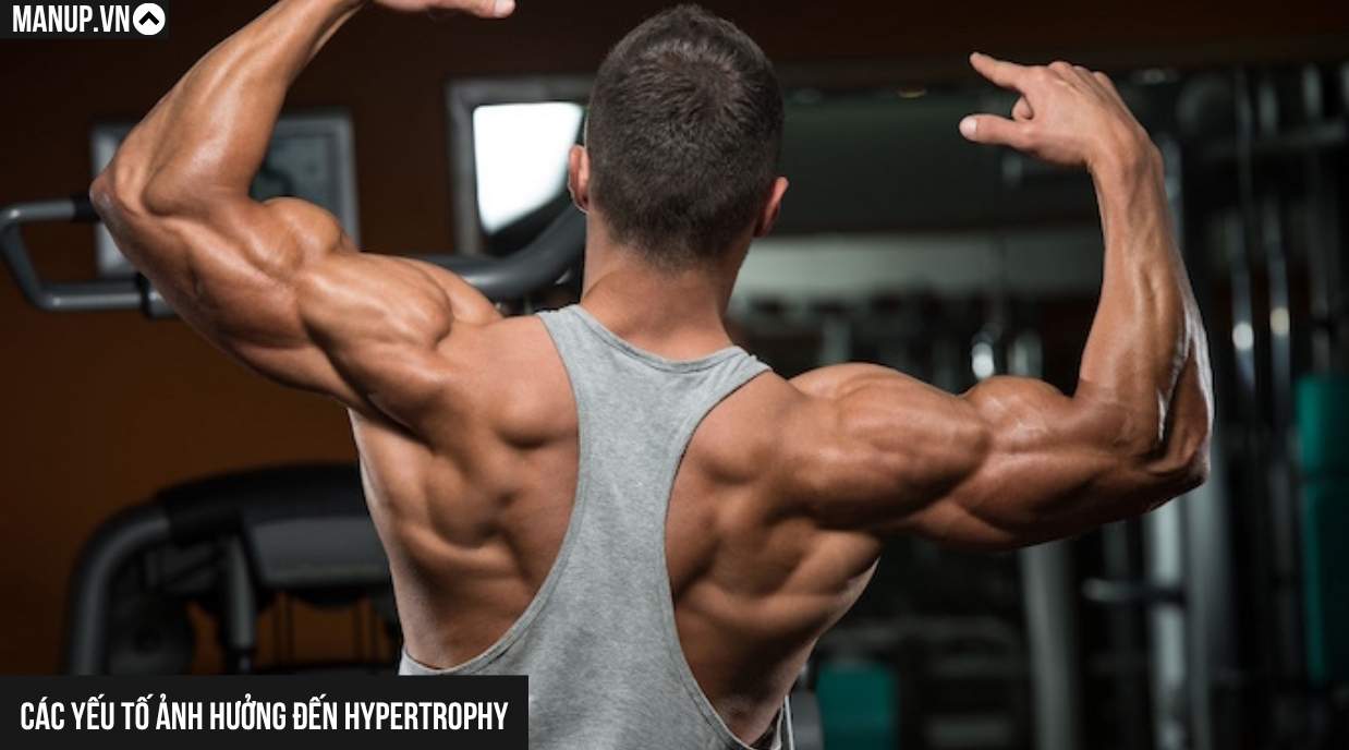 Các yếu tố ảnh hưởng đến Hypertrophy