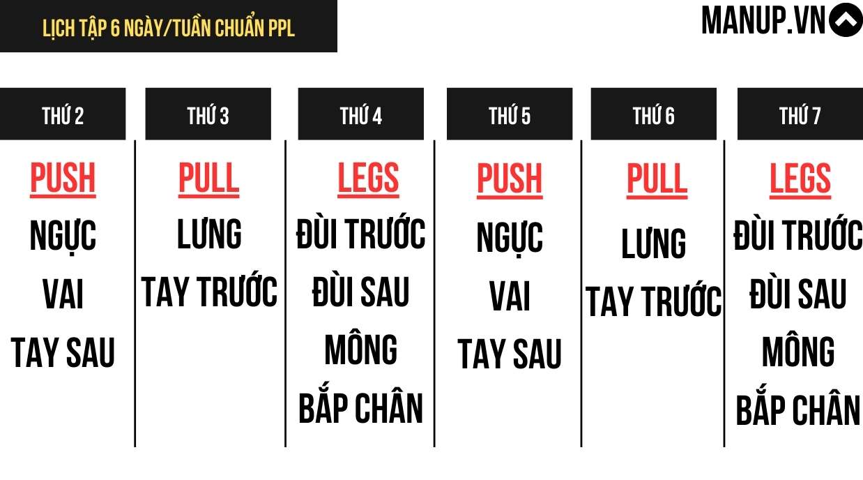 Lịch Cho Người Muốn Tăng Cơ Chân