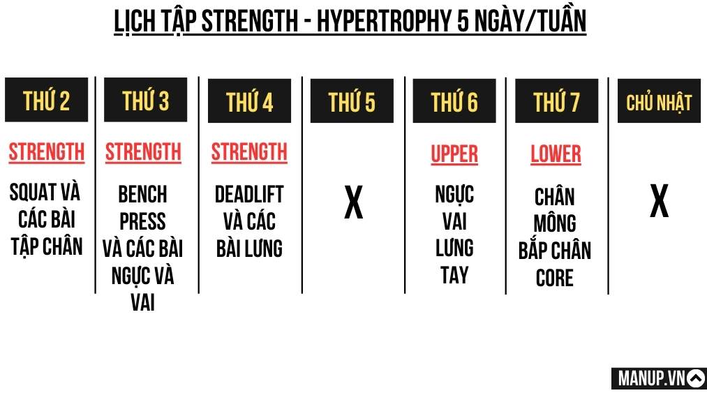 Strength–Hypertrophy Split