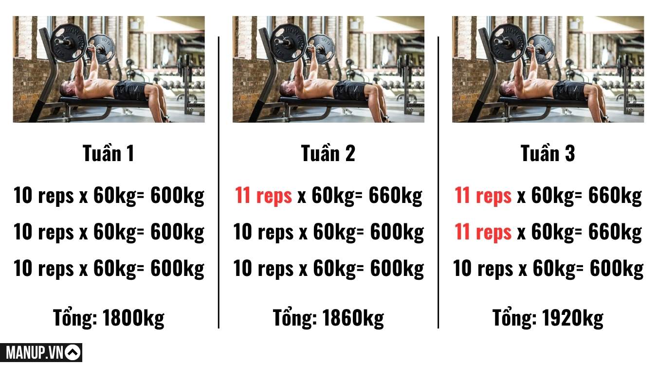 Tăng số lần lặp (Repetitions)