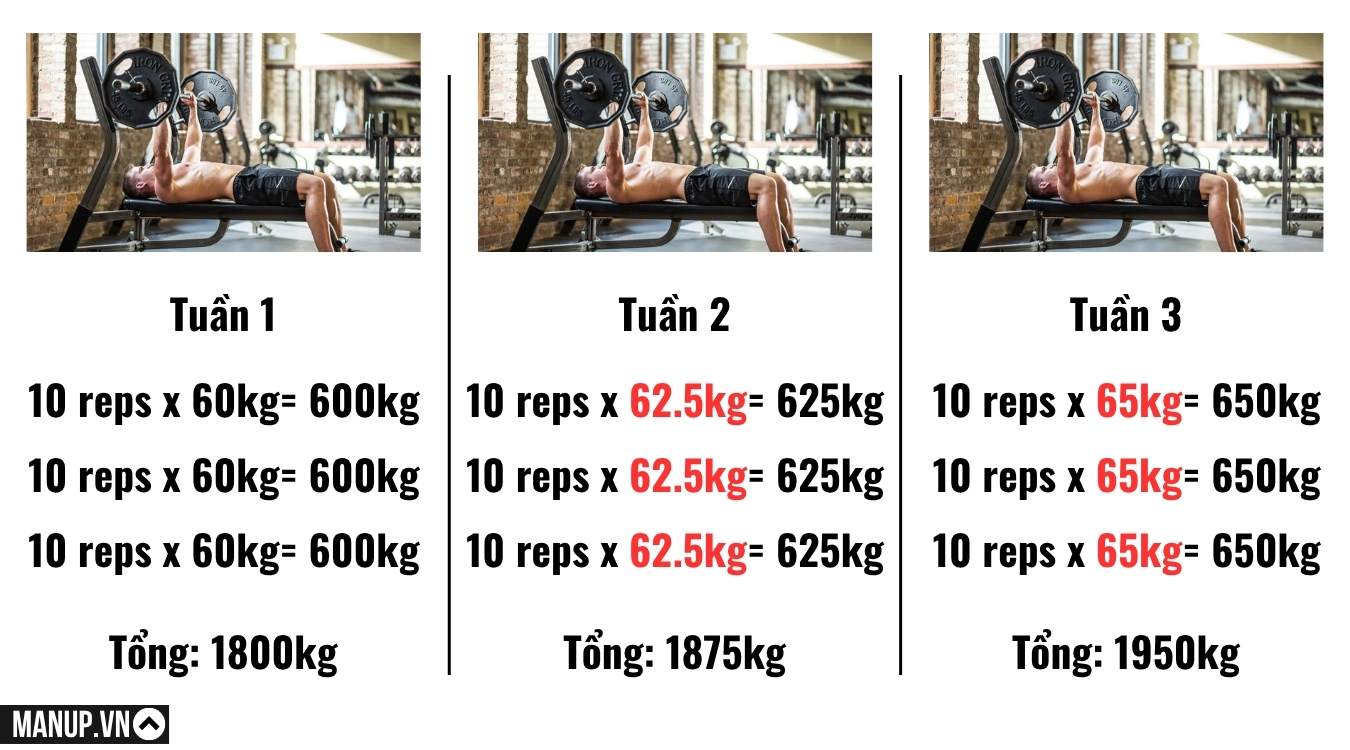 Tăng trọng lượng (Load)