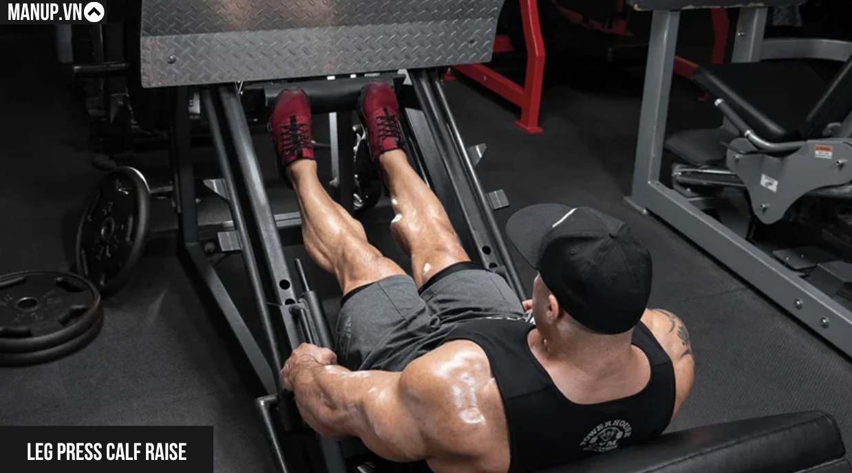 Leg Press Calf Raise (Đạp Máy Nhón Gót)