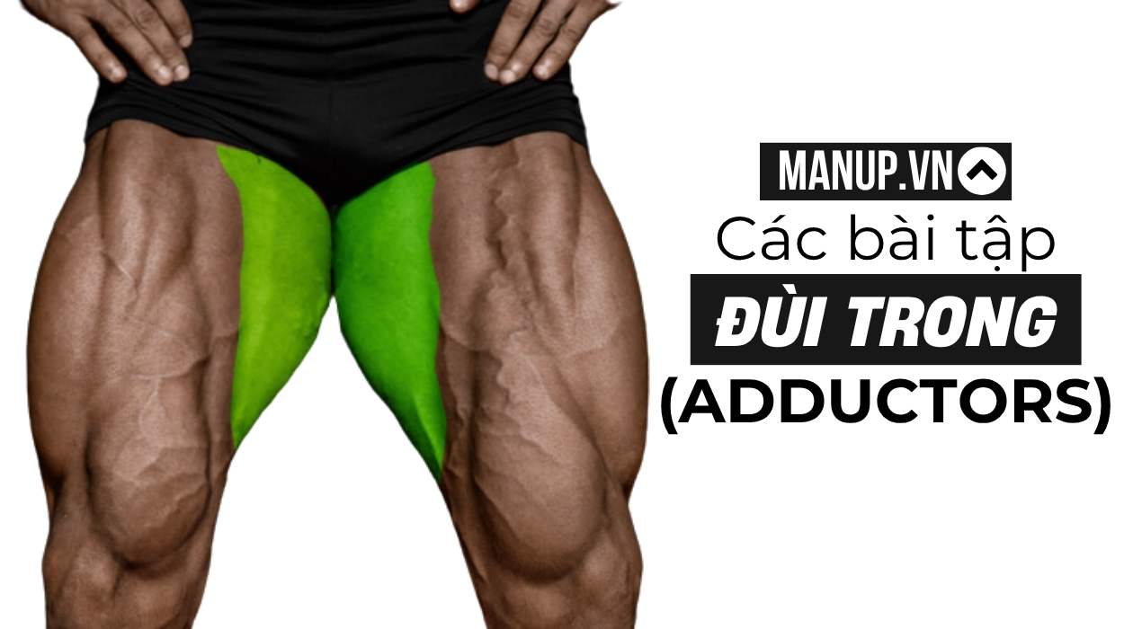 Các bài tập đùi trong