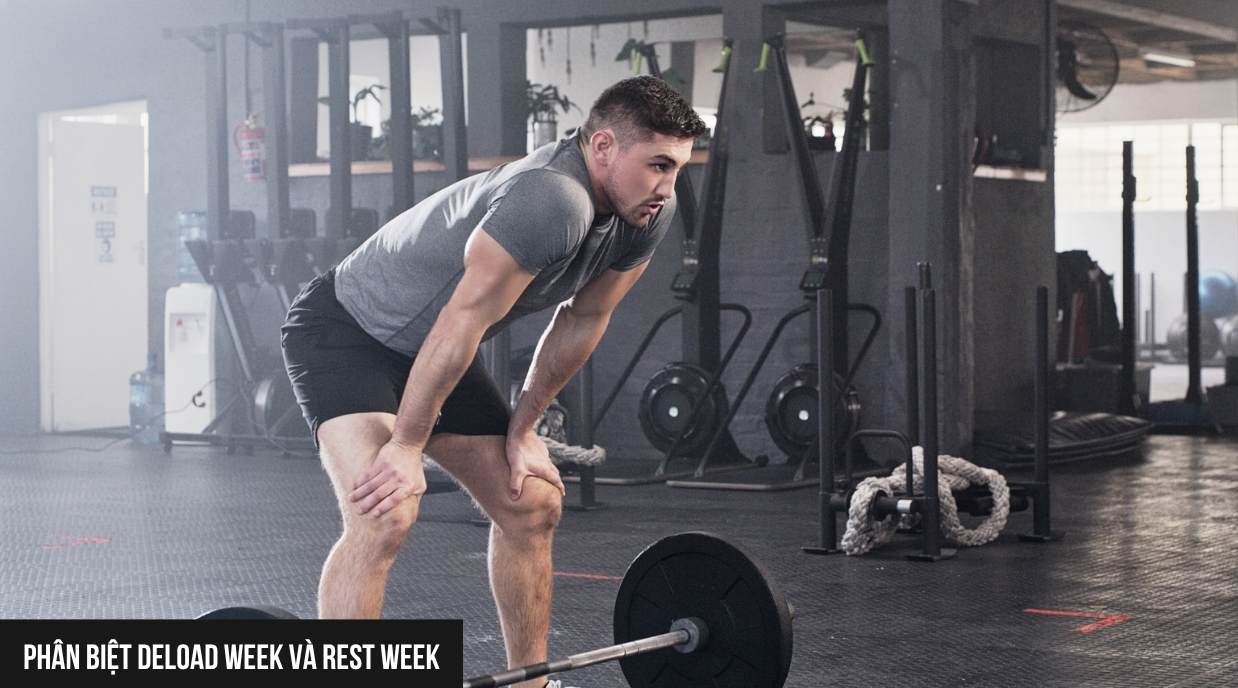 Deload Week và Rest Week