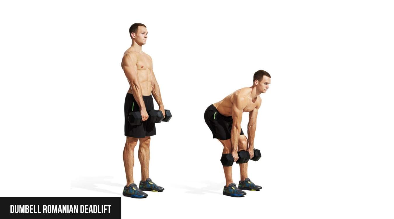 Dumbbell Romanian Deadlift