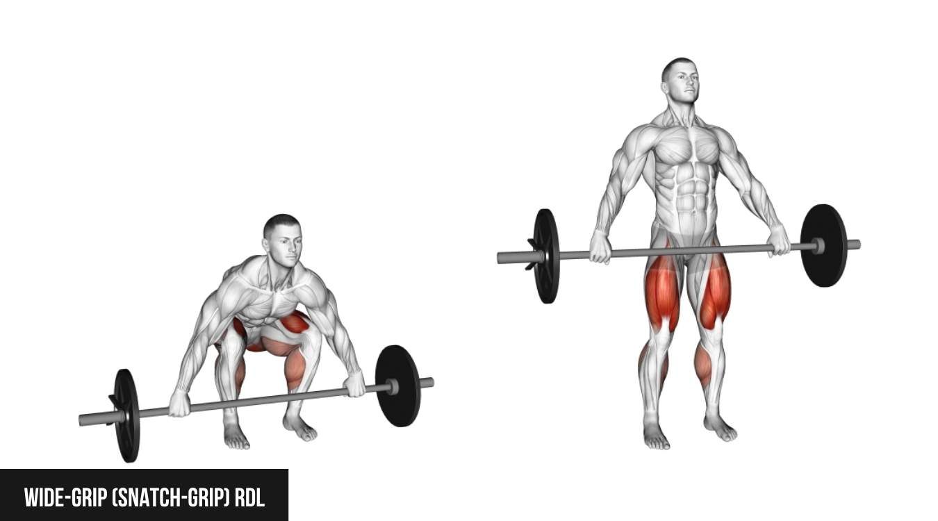 Wide-grip (snatch-grip) RDL