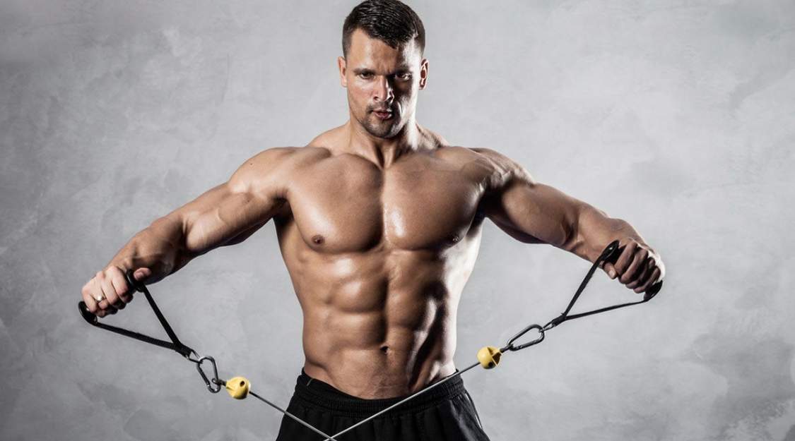 Hiệu quả tăng cơ (hypertrophy)