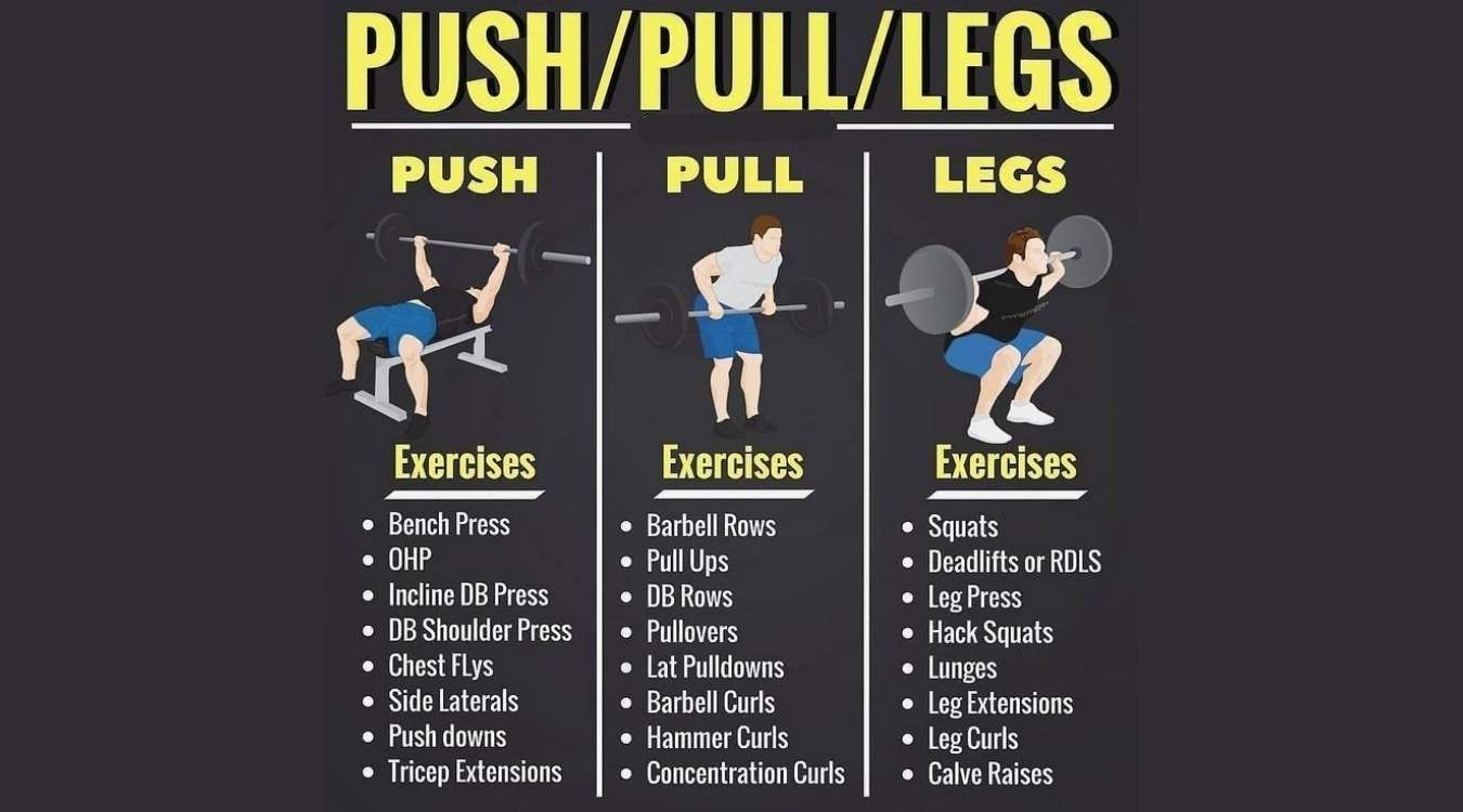 Push Pull Leg là gì