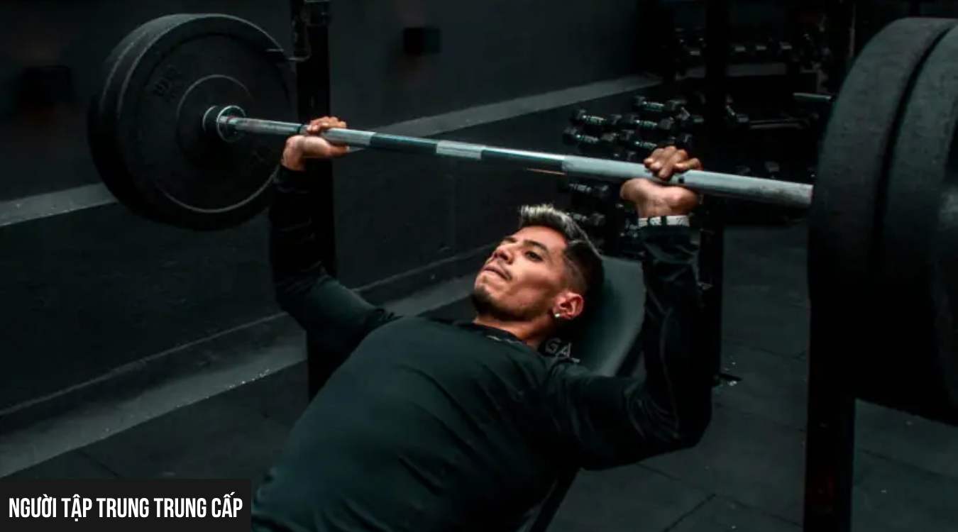 Ai nên áp dụng PPL