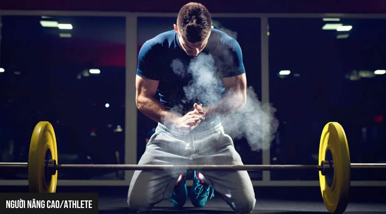 Push Pull Legs nâng cao