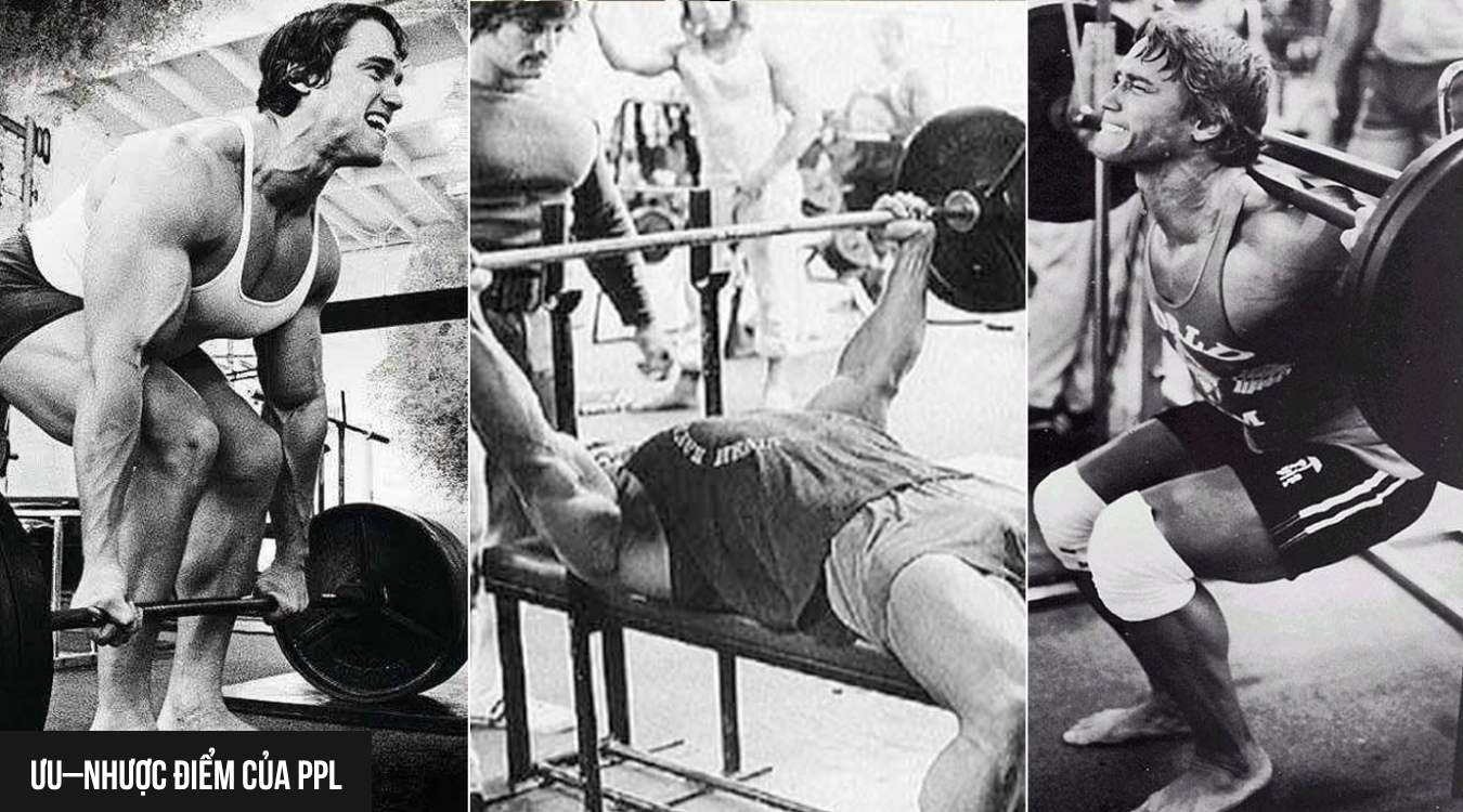 Ưu–nhược điểm của Push Pull Legs