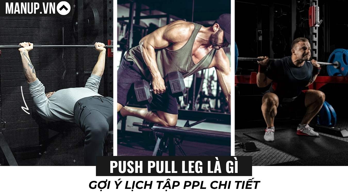 Push Pull Leg là gì