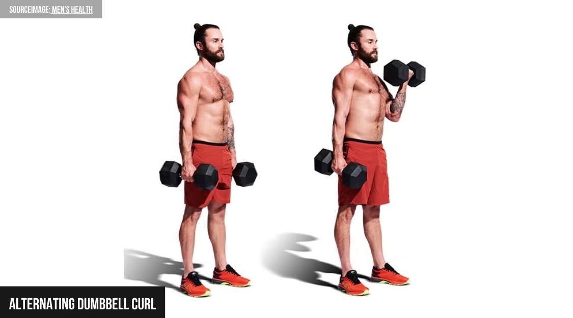 Alternating Dumbbell Curl ( Curl từng tay )