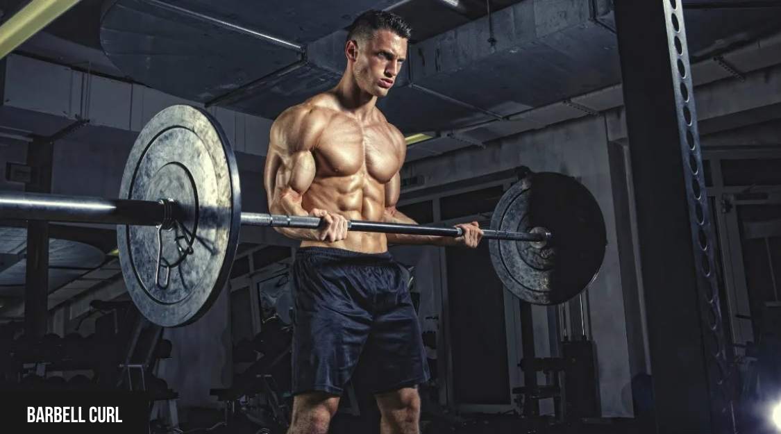 Barbell Curl