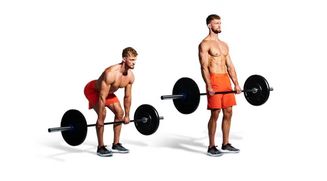 Barbell Romanian Deadlift (nâng cấp tạ đòn)