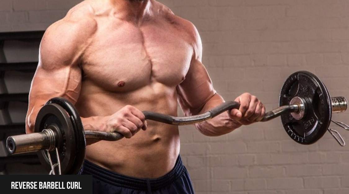 Reverse Barbell Curl (nắm sấp)