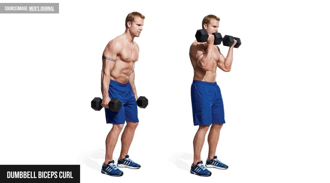 Dumbbell Biceps Curl