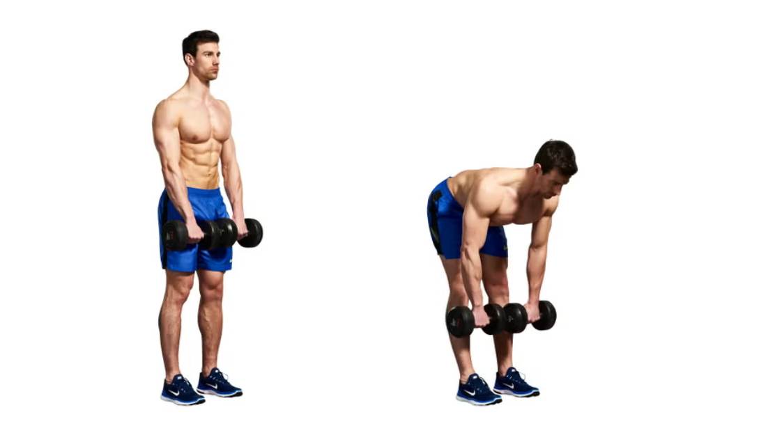 Mẹo thực hành, cảm nhận và tiến độ