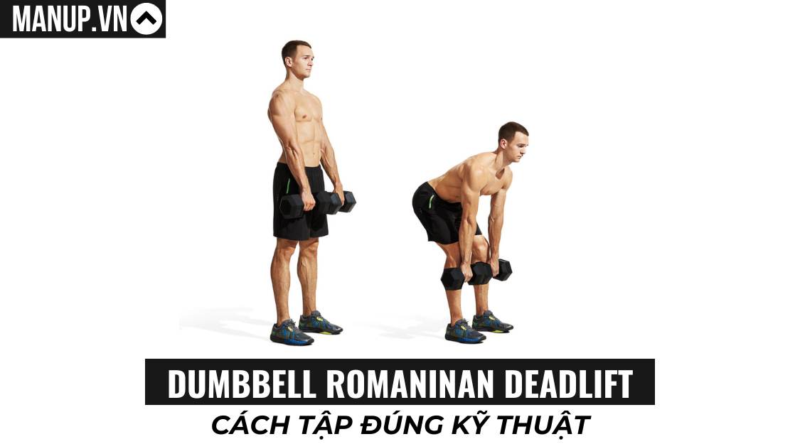 Cách tập Dumbbell Romanian Deadlift đúng cách cho người mới