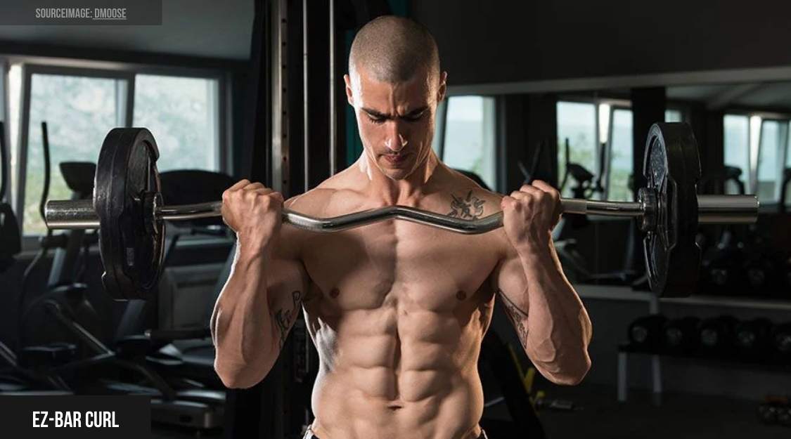 EZ-Bar Curl