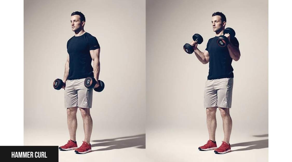 Hammer Curl
