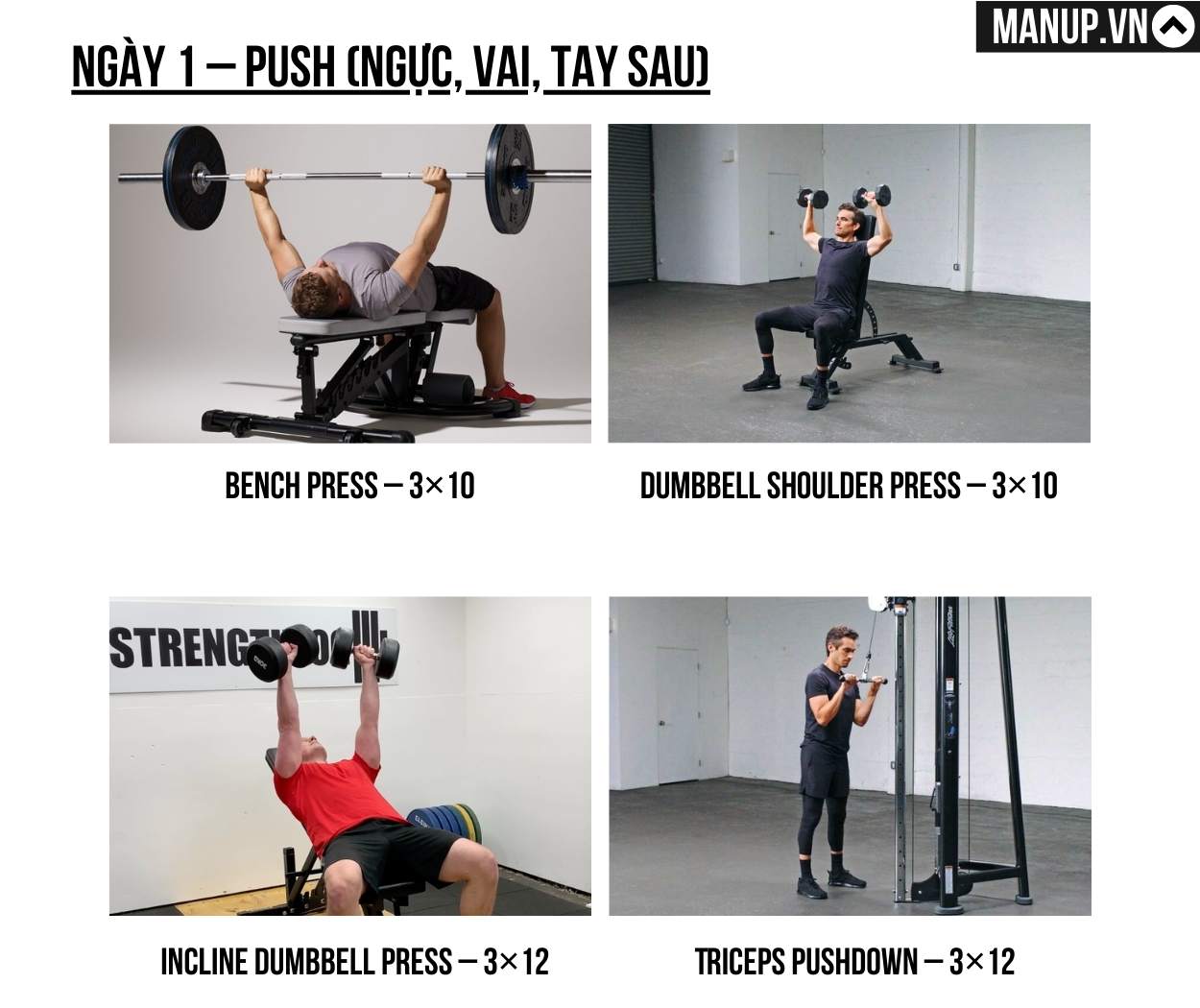 mẫu lịch tập Push Pull Leg 3 ngày