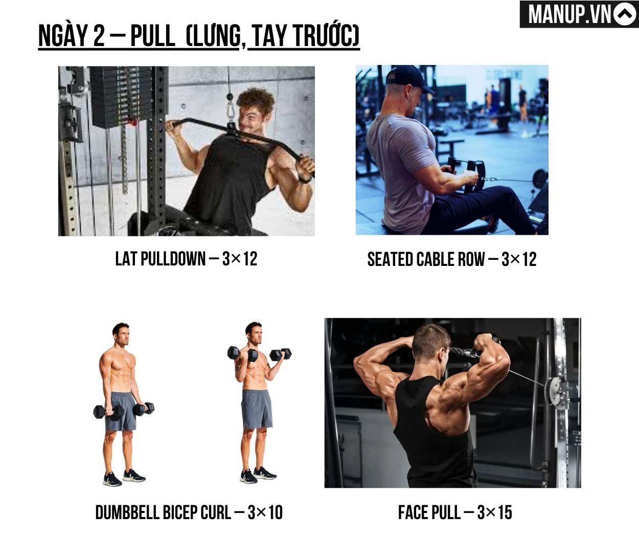 mẫu lịch tập Push Pull Leg 3 ngày