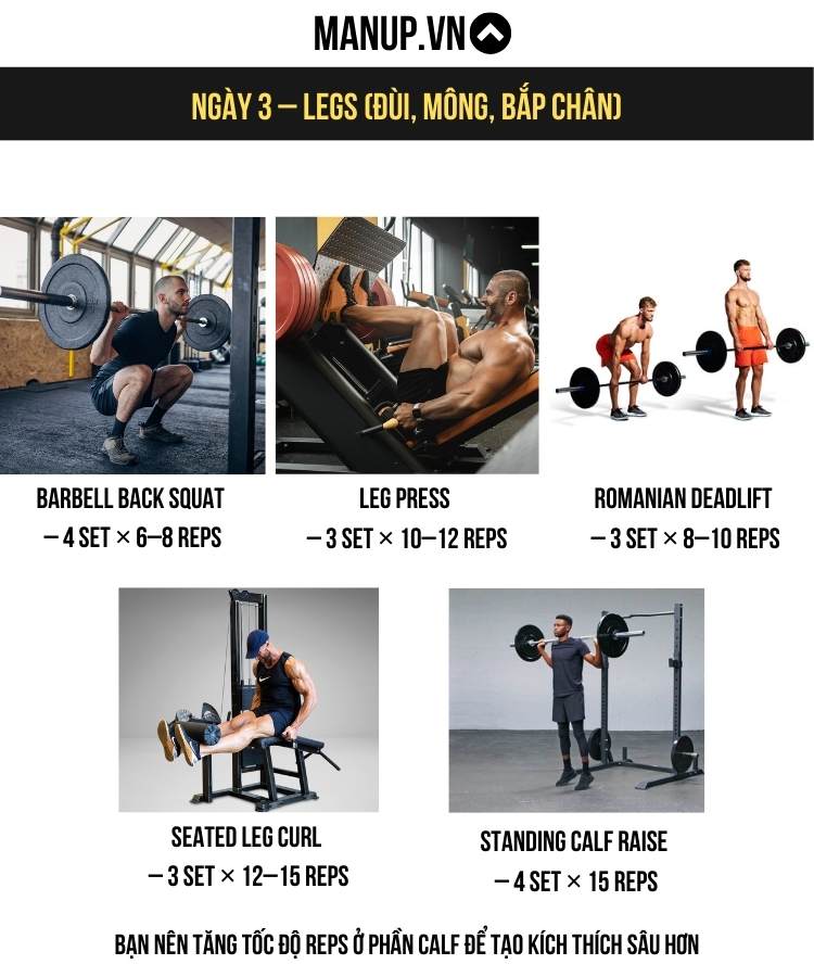 Buổi 3 – Legs (Đùi, Mông, Bắp chân)
