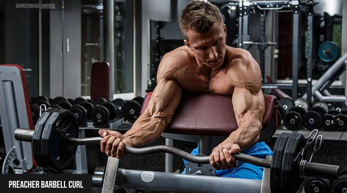 Preacher Curl (ghế cô lập)