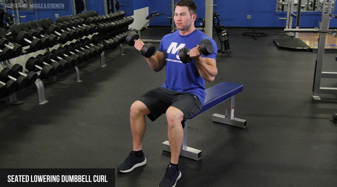 Seated Lowering Dumbbell Curl