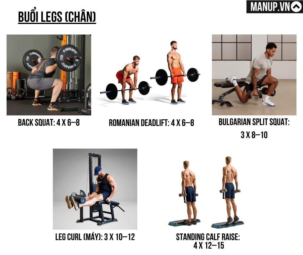 Buổi Legs (chân)