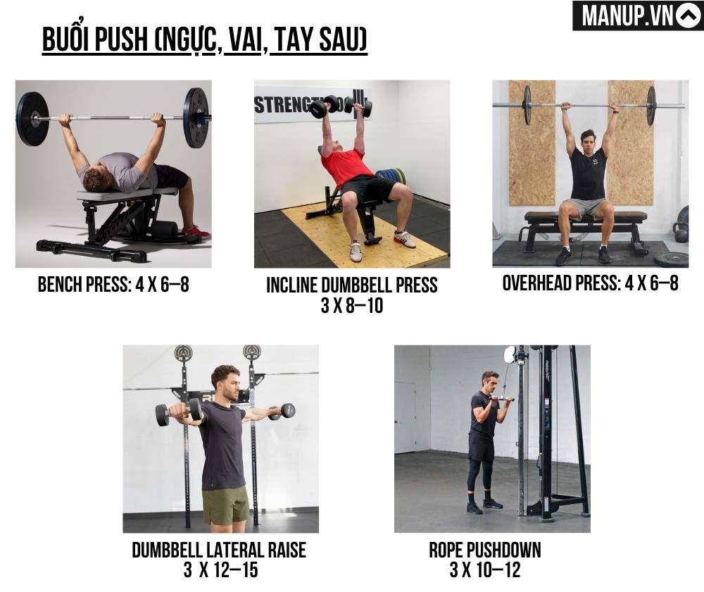 Buổi Push (ngực, vai, tay sau)