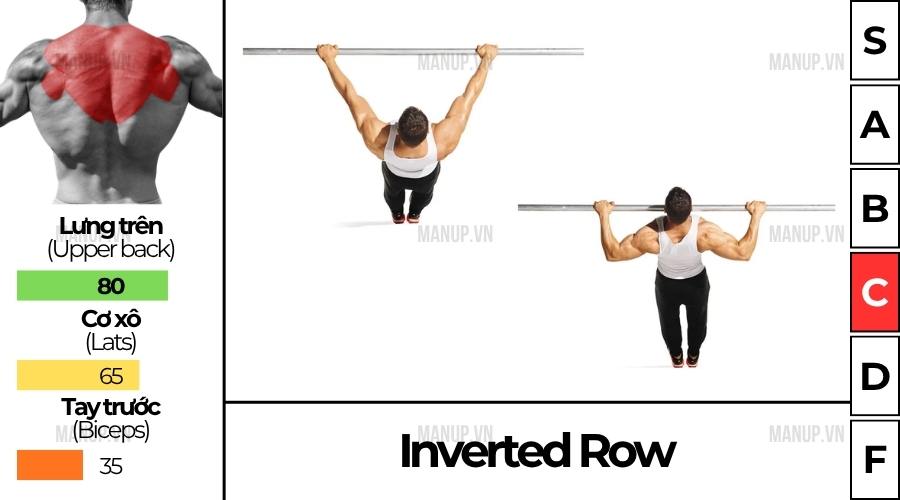 Inverted Row