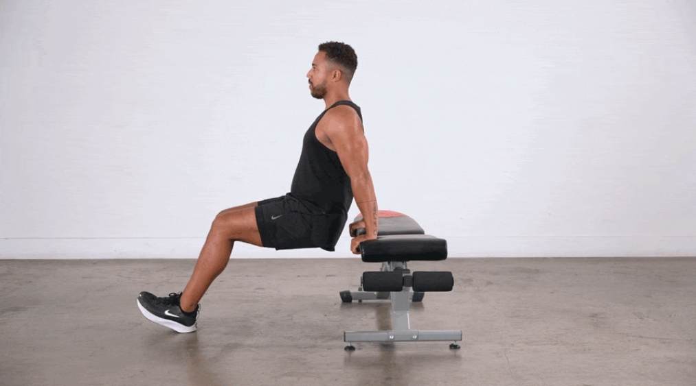 bench dips