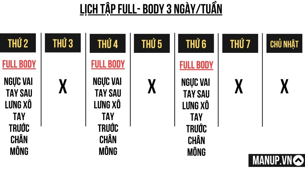 Full-body (Toàn thân trong mỗi buổi)