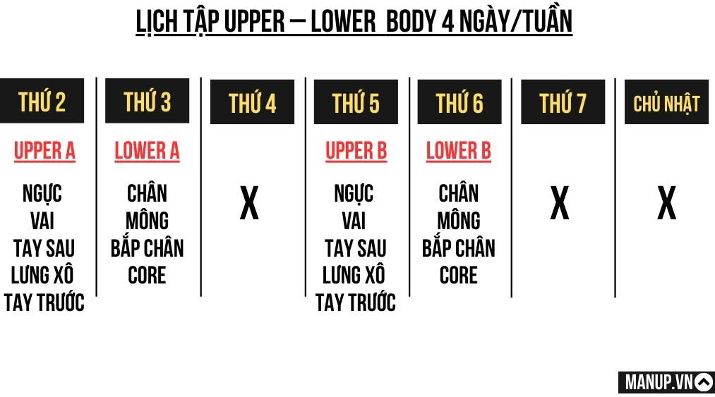 Lịch tập gym 4 ngày 1 tuần cho nam hiệu quả & đa dạng