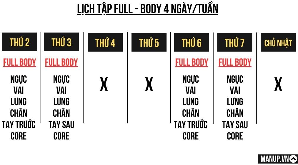 Full-body biến thể 4 buổi