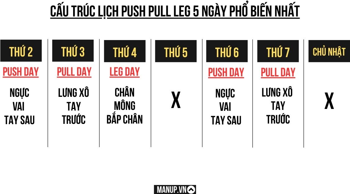 Lịch tập gym Push Pull Leg 5 ngày 1 tuần cho nam