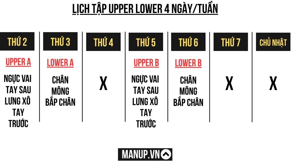 Lịch tập gym Upper Lower 4 ngày 1 tuần cho nam